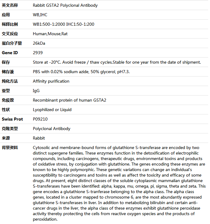 GSTA2 Antibody,索莱宝,K005386P-50ul