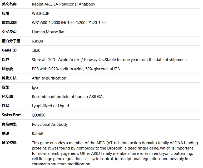 ARID3A Antibody,索莱宝,K005382P-100ul