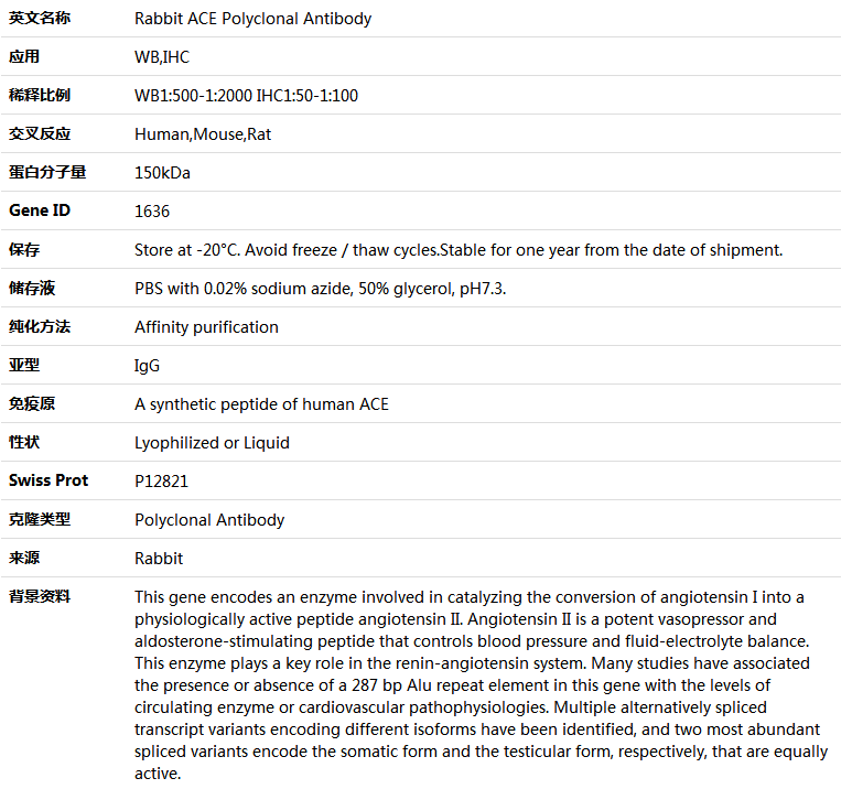 ACE Antibody,索莱宝,K005380P-50ul