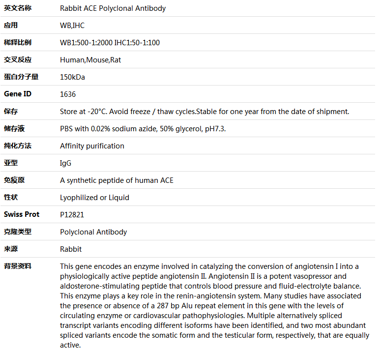 ACE Antibody,索莱宝,K005380P-30ul