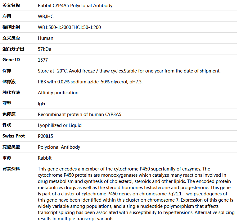 CYP3A5 Antibody,索莱宝,K005379P-50ul
