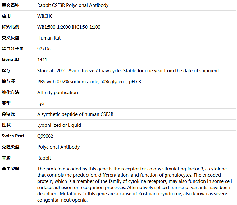 CSF3R Antibody,索莱宝,K005377P-50ul