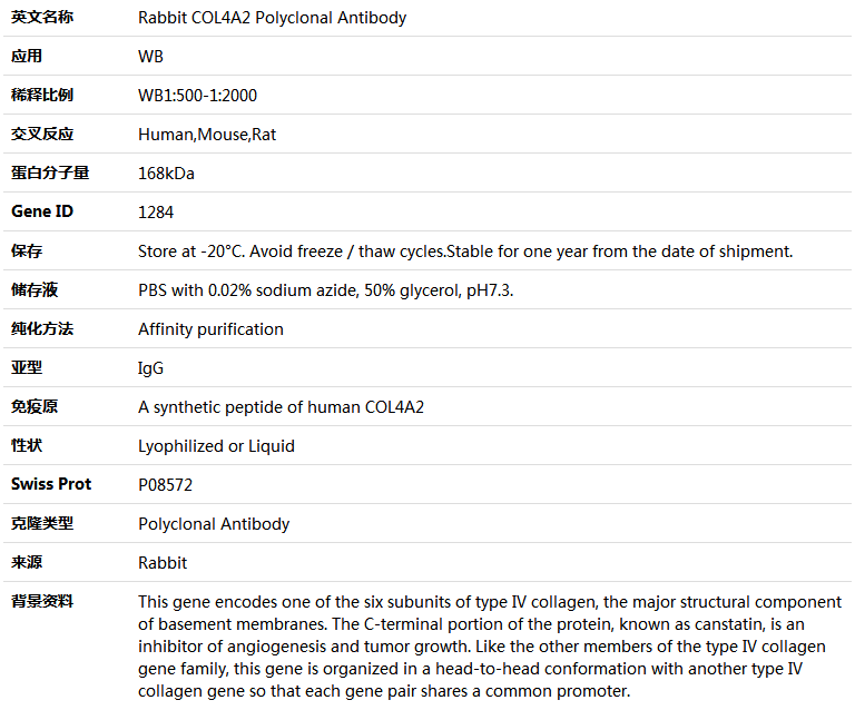 COL4A2 Antibody,索莱宝,K005375P-100ul