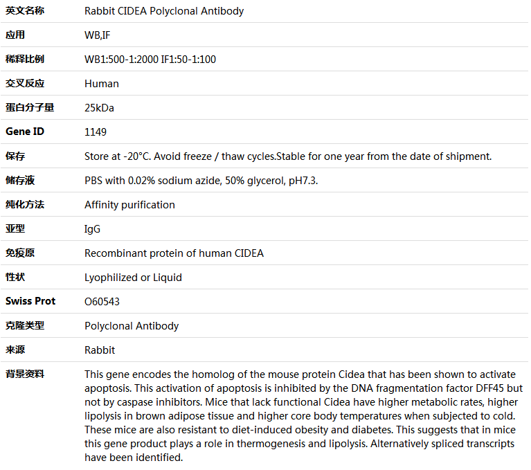 CIDEA Antibody,索莱宝,K005373P-100ul