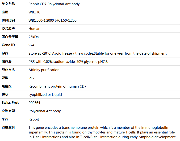 CD7 Antibody,索莱宝,K005369P-100ul