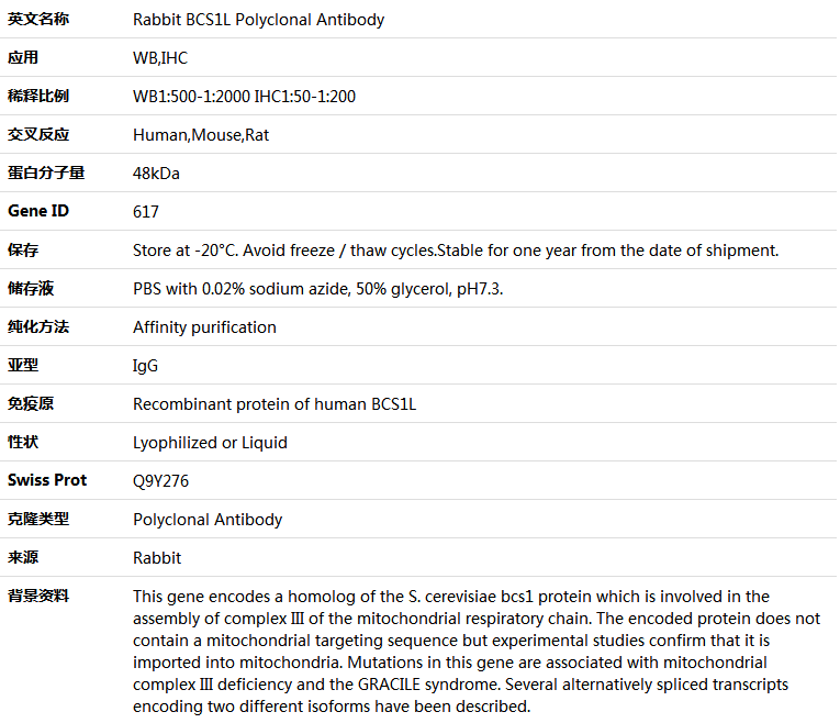 BCS1L Antibody,索莱宝,K005366P-100ul