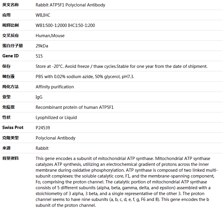ATP5F1 Antibody,索莱宝,K005364P-50ul