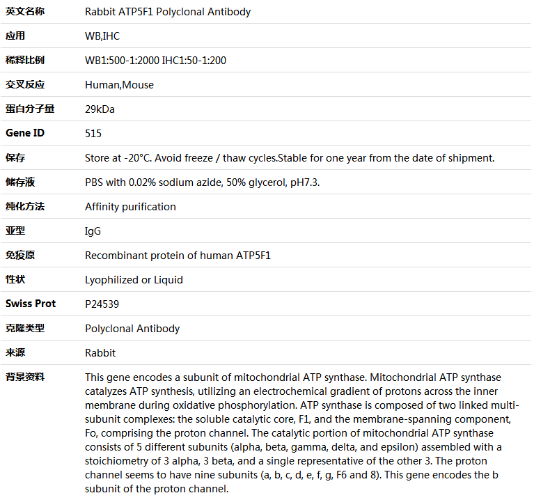 ATP5F1 Antibody,索莱宝,K005364P-100ul