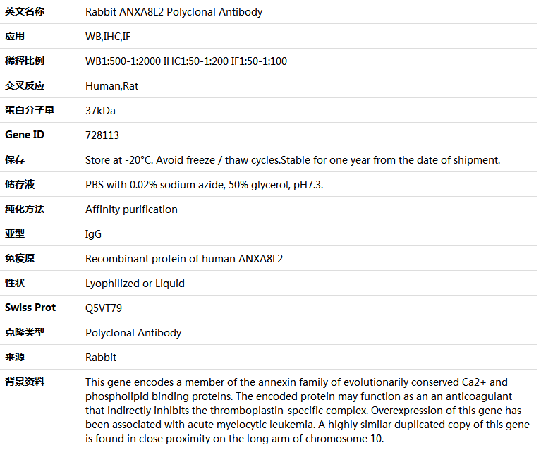 ANXA8L2 Antibody,索莱宝,K005363P-100ul