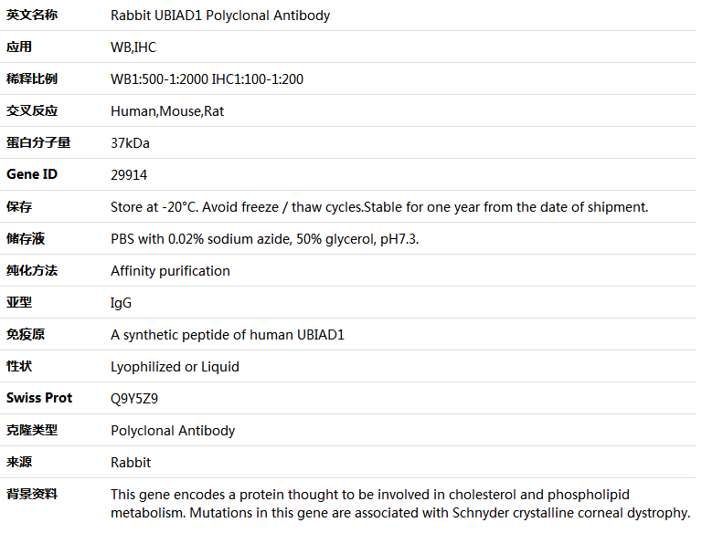 UBIAD1 Antibody,索莱宝,K005362P-100ul