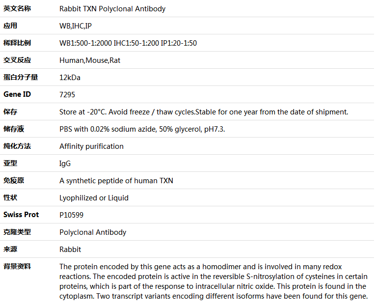 TXN Antibody,索莱宝,K005360P-100ul
