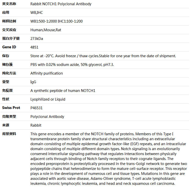 NOTCH1 Antibody,索莱宝,K005358P-50ul