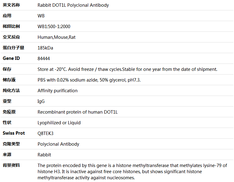 DOT1L Antibody,索莱宝,K005349P-100ul