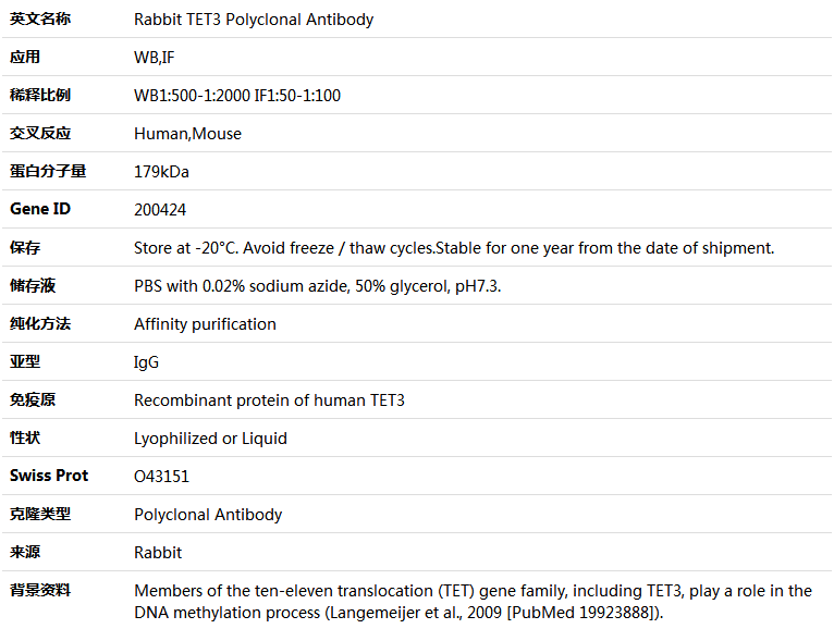 TET3 Antibody,索莱宝,K005347P-50ul