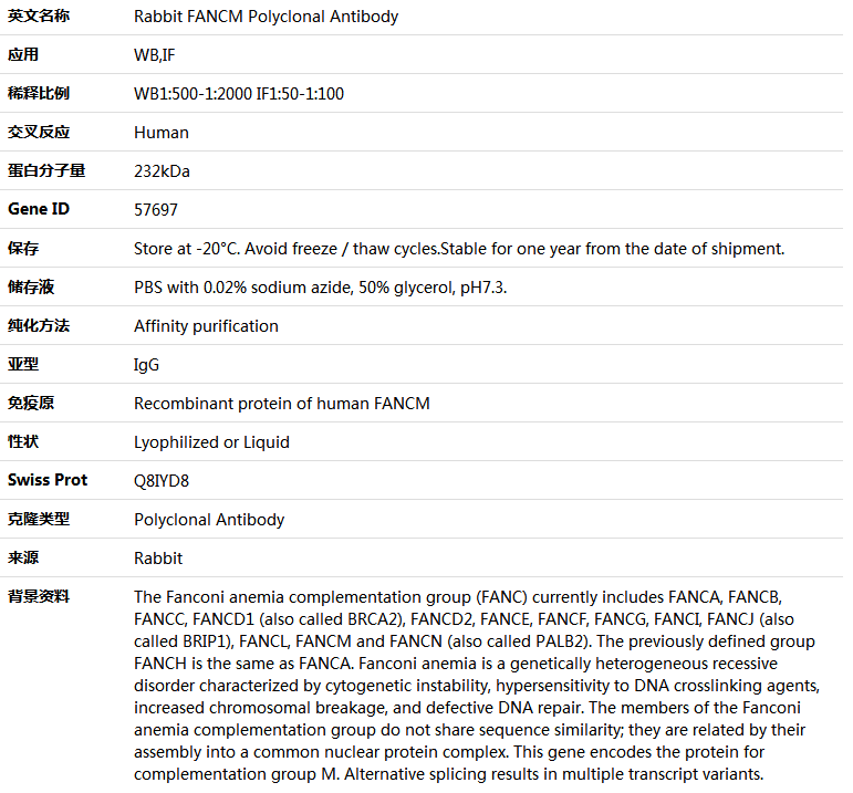 FANCM Antibody,索莱宝,K005342P-50ul