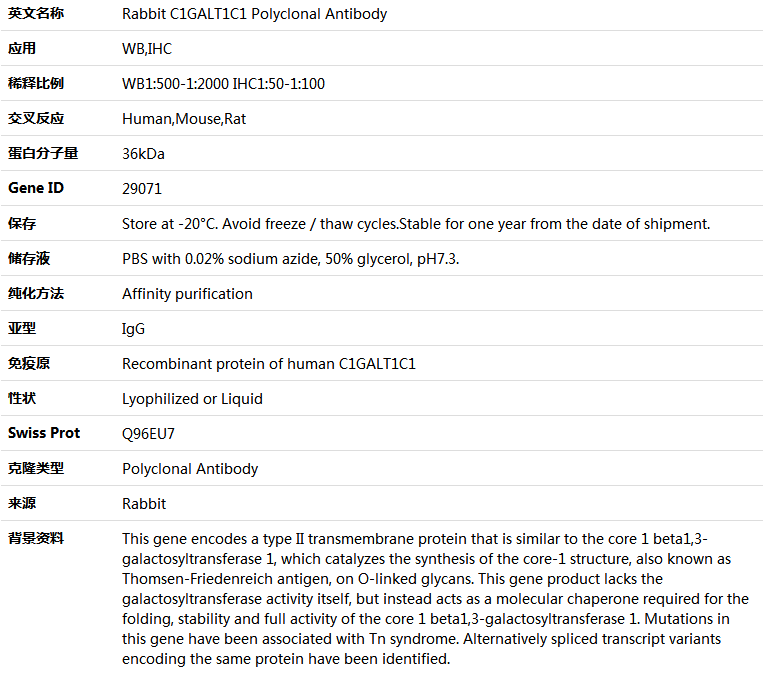 C1GALT1C1 Antibody,索莱宝,K005340P-100ul