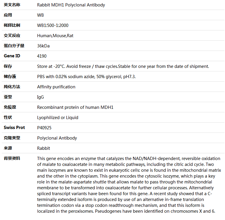 MDH1 Antibody,索莱宝,K005327P-100ul