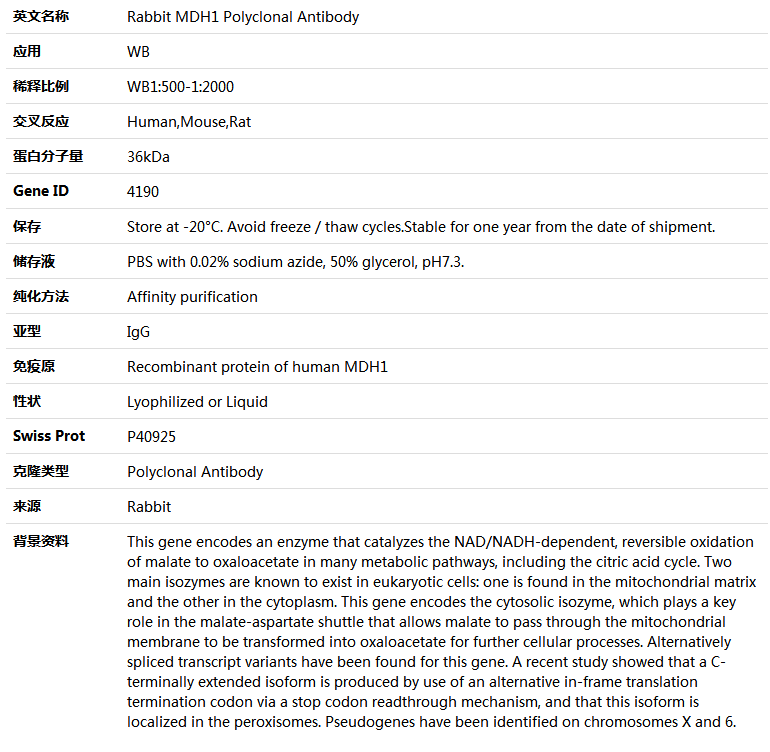 MDH1 Antibody,索莱宝,K005327P-50ul