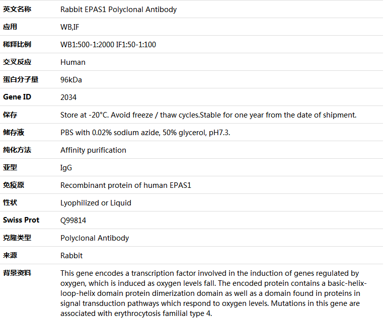 EPAS1 Antibody,索莱宝,K005323P-30ul