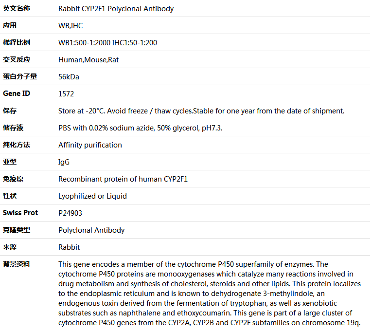 CYP2F1 Antibody,索莱宝,K005321P-100ul