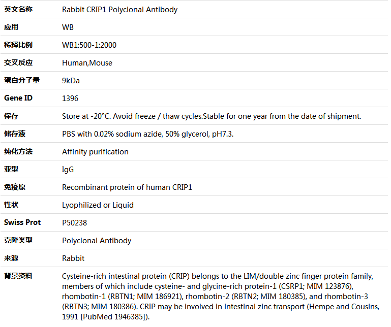 CRIP1 Antibody,索莱宝,K005320P-50ul