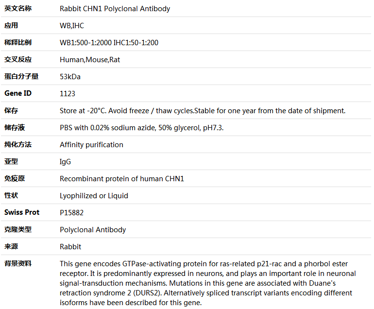 CHN1 Antibody,索莱宝,K005319P-50ul