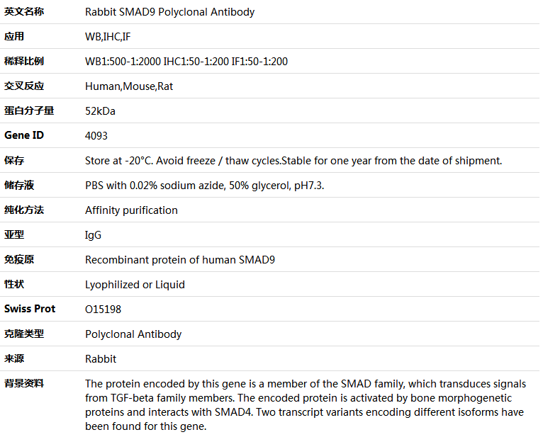 SMAD9 Antibody,索莱宝,K005310P-30ul