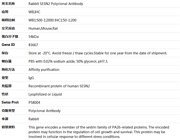 SESN2 Antibody,索莱宝,K005307P-100ul