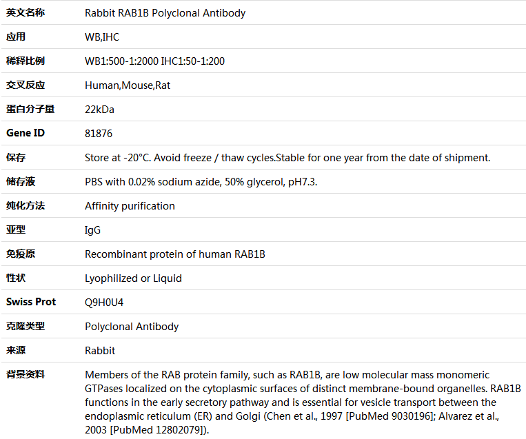 RAB1B Antibody,索莱宝,K005306P-50ul