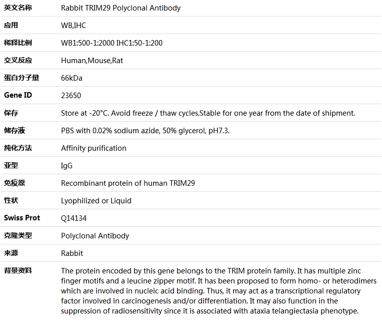 TRIM29 Antibody,索莱宝,K005300P-100ul