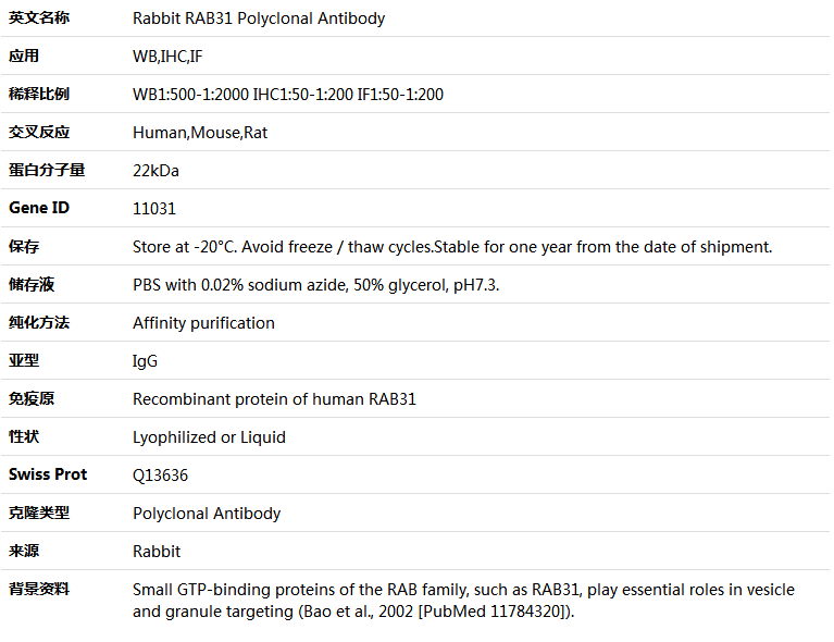 RAB31 Antibody,索莱宝,K005298P-50ul