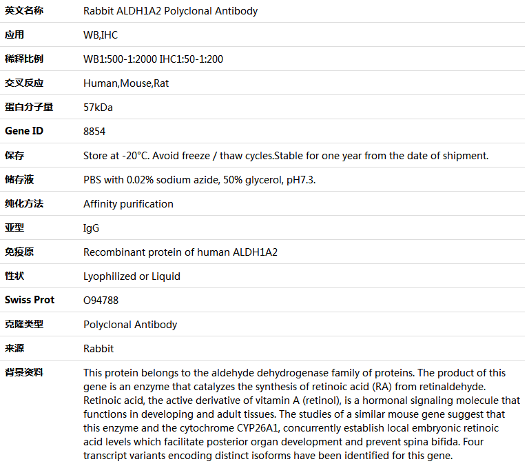 ALDH1A2 Antibody,索莱宝,K005296P-100ul