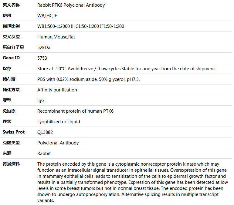 PTK6 Antibody,索莱宝,K005293P-50ul