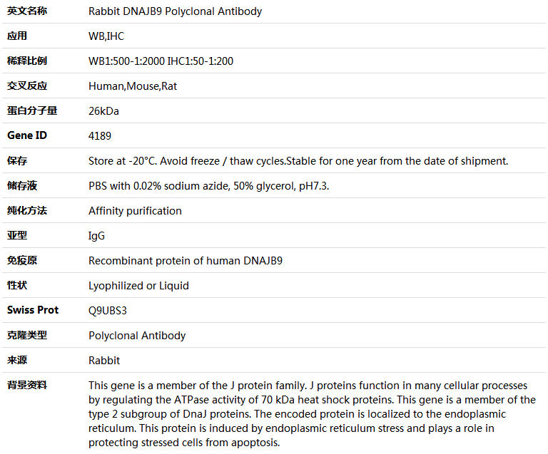 DNAJB9 Antibody,索莱宝,K005290P-100ul