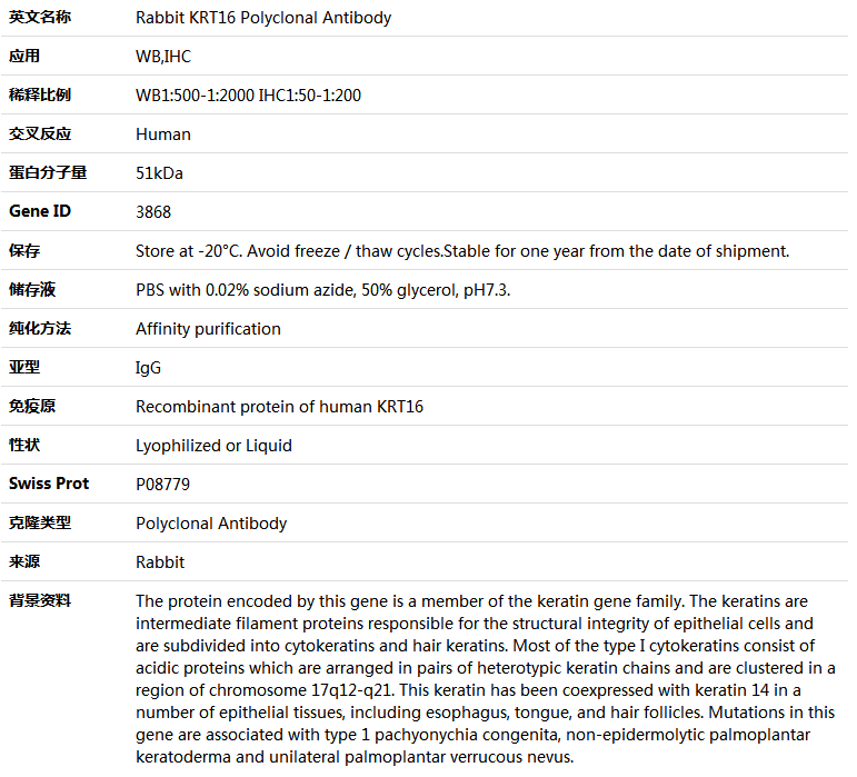 KRT16 Antibody,索莱宝,K005289P-100ul