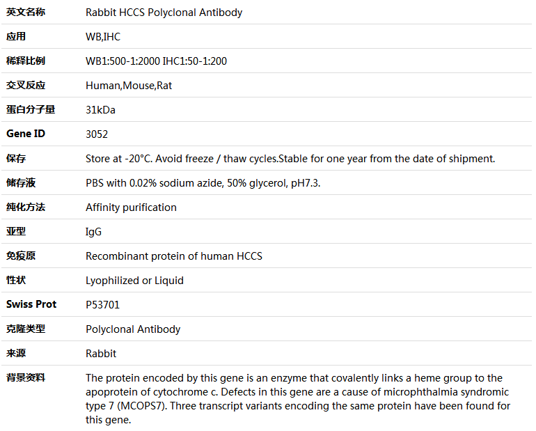 HCCS Antibody,索莱宝,K005287P-100ul