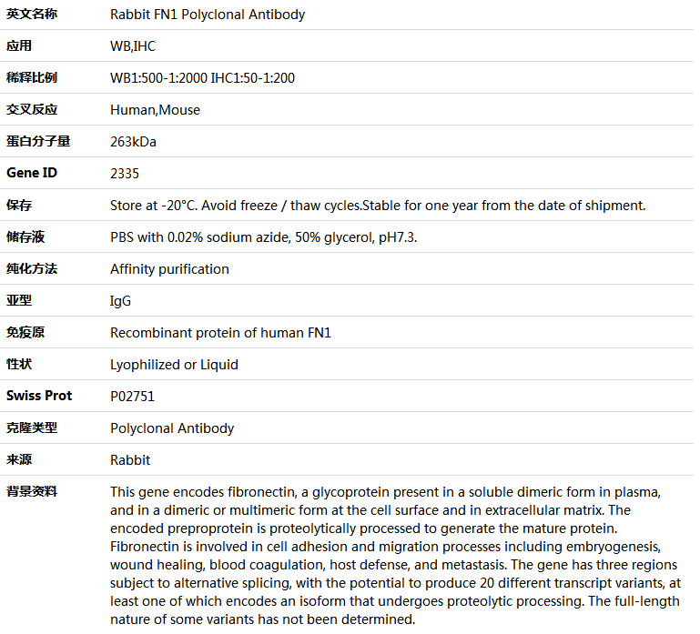 FN1 Antibody,索莱宝,K005285P-50ul