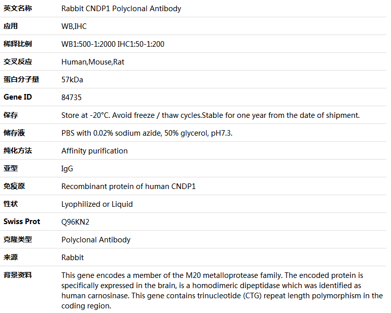 CNDP1 Antibody,索莱宝,K005282P-100ul
