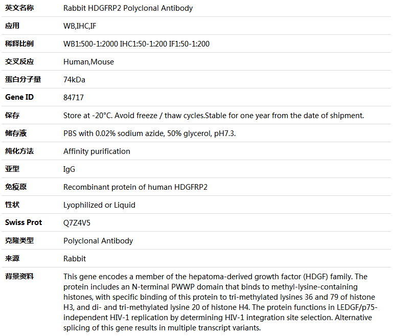 HDGFRP2 Antibody,索莱宝,K005281P-100ul