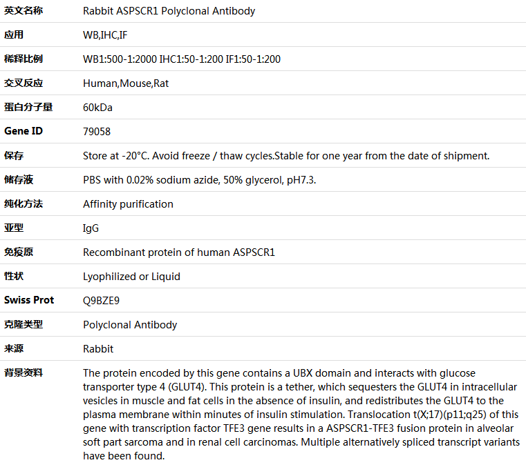 ASPSCR1 Antibody,索莱宝,K005278P-100ul