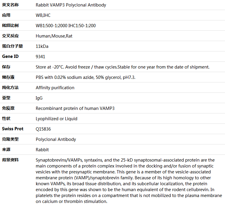 VAMP3 Antibody,索莱宝,K005261P-50ul