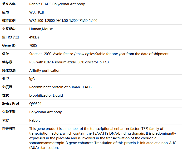 TEAD3 Antibody,索莱宝,K005258P-100ul