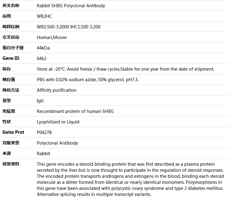 SHBG Antibody,索莱宝,K005256P-50ul