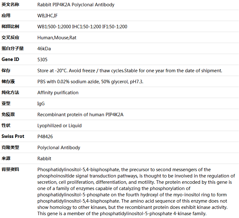 PIP4K2A Antibody,索莱宝,K005254P-100ul