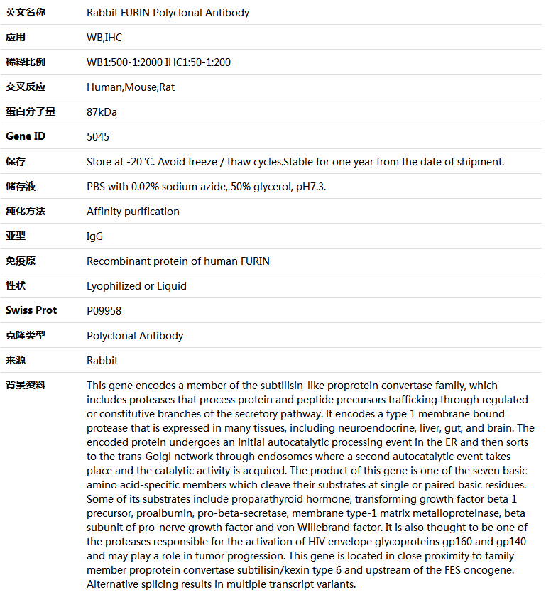 FURIN Antibody,索莱宝,K005253P-50ul