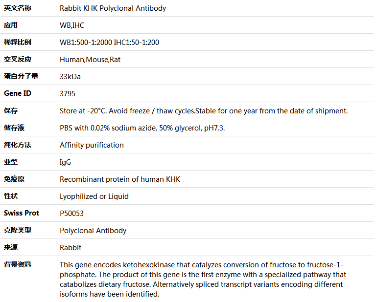 KHK Antibody,索莱宝,K005250P-100ul