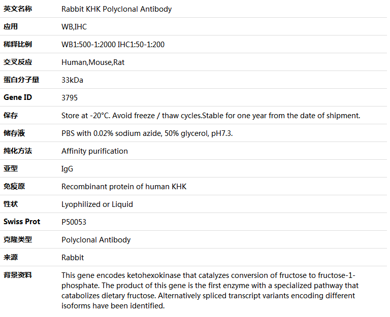 KHK Antibody,索莱宝,K005250P-100ul