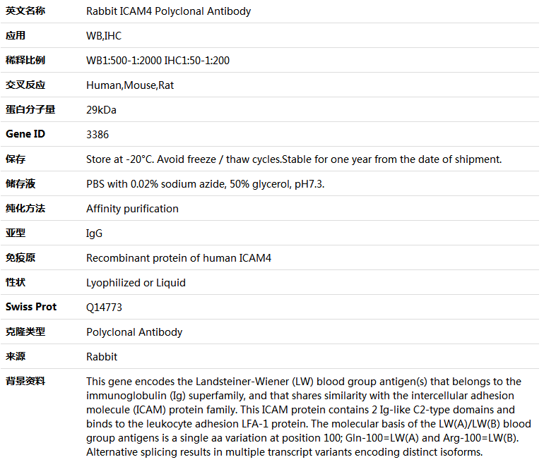 ICAM4 Antibody,索莱宝,K005248P-100ul