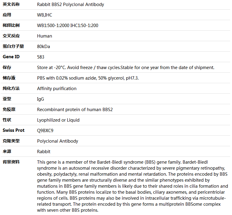 BBS2 Antibody,索莱宝,K005238P-50ul