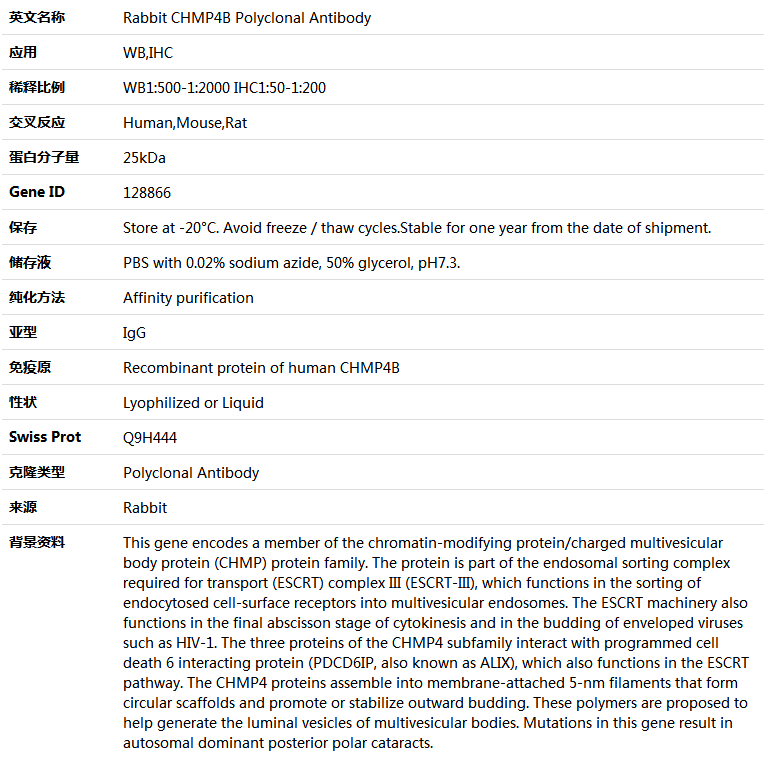 CHMP4B Antibody,索莱宝,K005231P-100ul